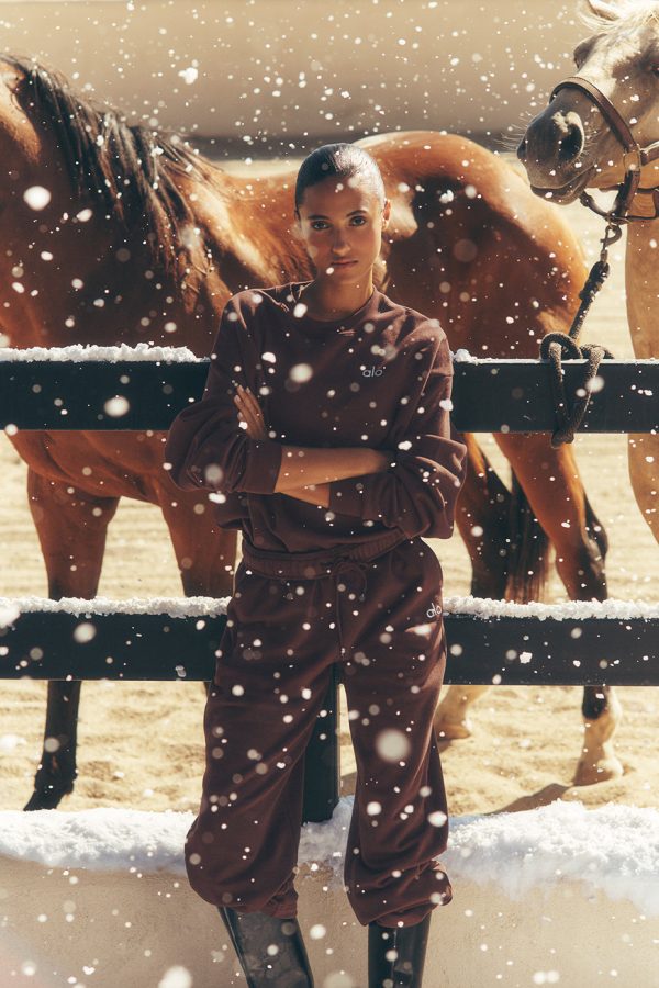 Accolade Straight Leg Sweatpant – Brownstone